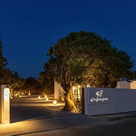 White Holidays Project Aparthotel