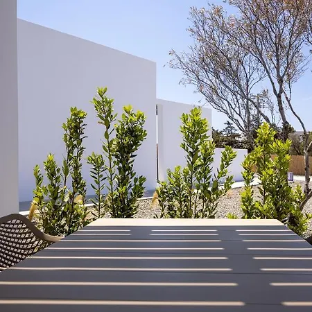 White Holidays Project