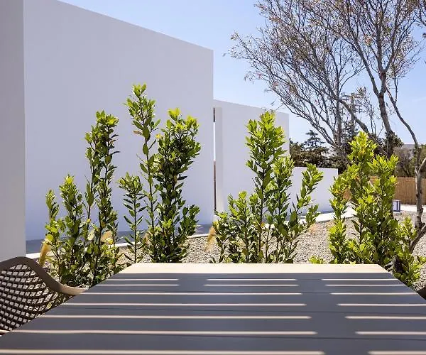 White Holidays Project